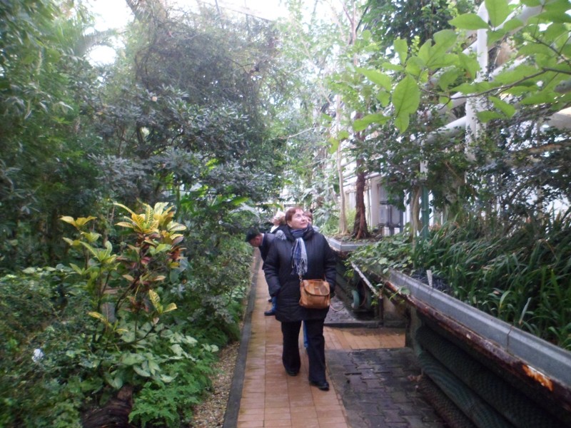 Botanicka zahrada 2013 33.JPG