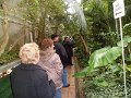 Botanicka zahrada 2013 36
