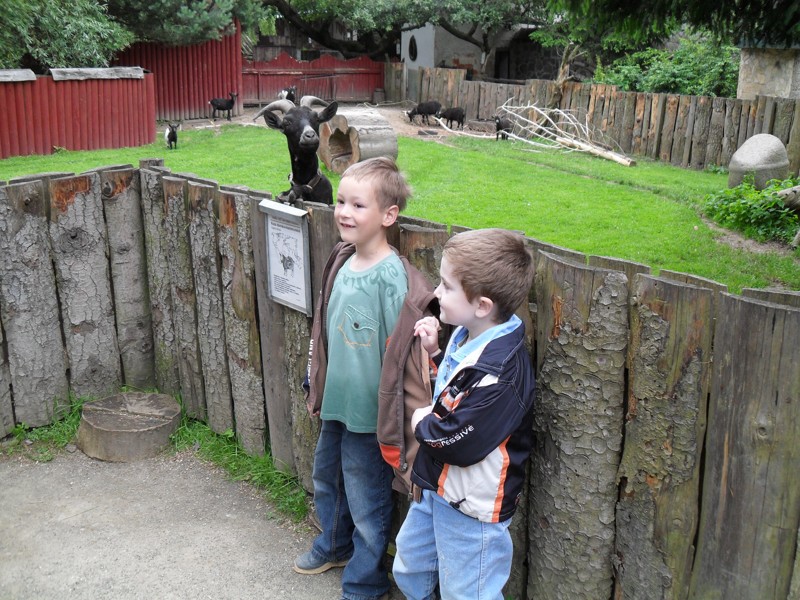 ZOO Stropkov  2010  1.JPG