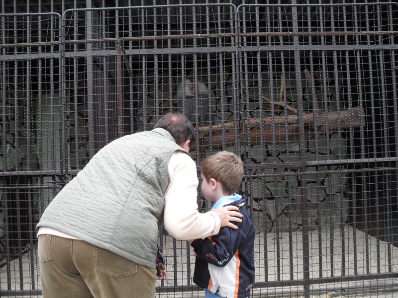 ZOO Stropkov  2010  6.JPG