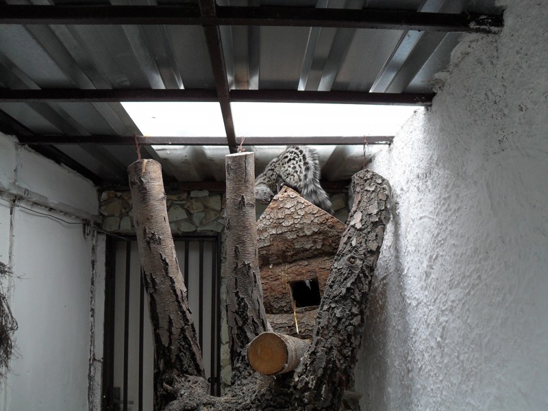 ZOO Stropkov  2010  8.JPG