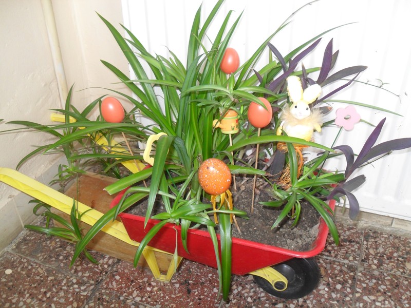 Jar-leto 2011 39.JPG