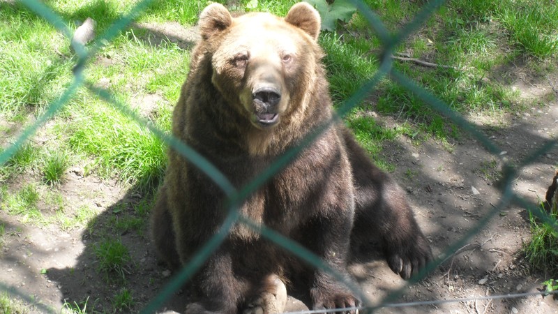 ZOO Kosice 2012  12.JPG