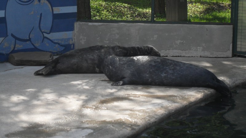 ZOO Kosice 2012  2.JPG