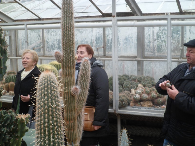 Botanicka zahrada 2013 10.JPG