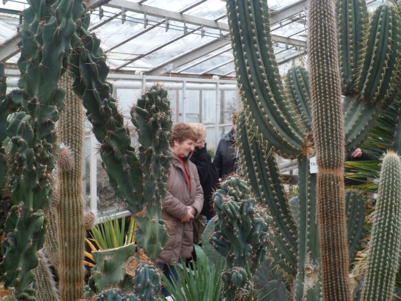 Botanicka zahrada 2013 11.JPG