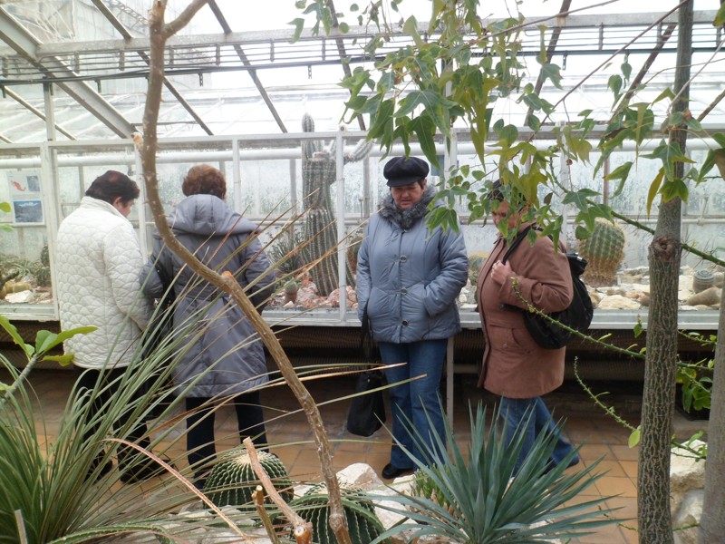 Botanicka zahrada 2013 13.JPG