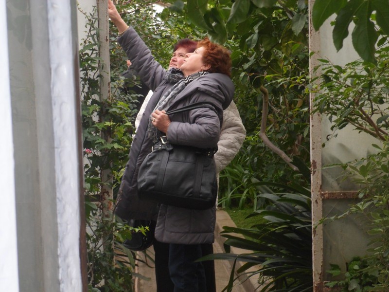 Botanicka zahrada 2013 15.JPG