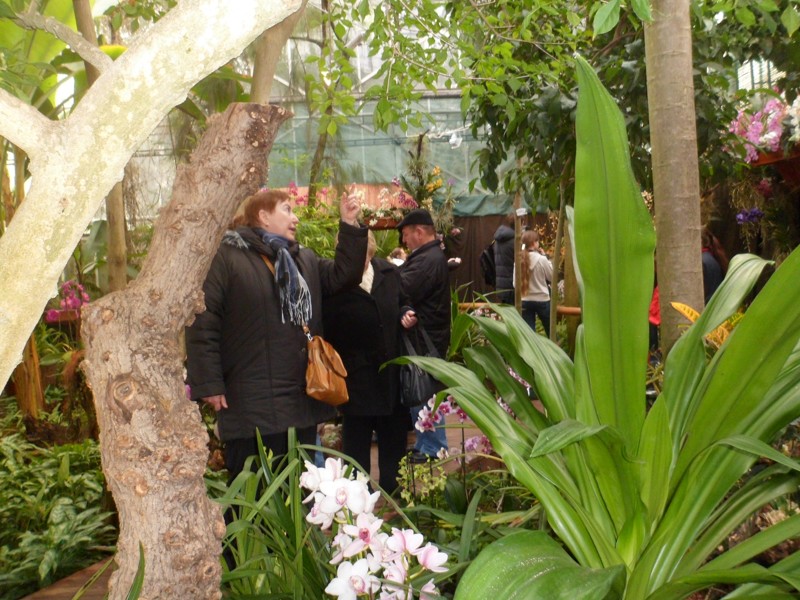 Botanicka zahrada 2013 18.JPG