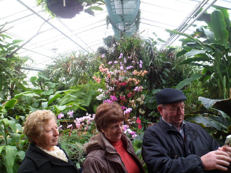 Botanicka zahrada 2013 20.JPG