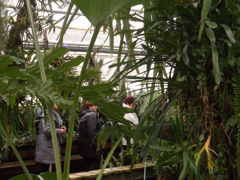 Botanicka zahrada 2013 23.JPG