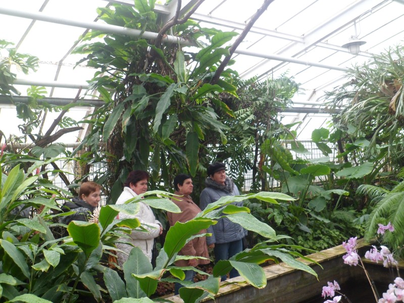 Botanicka zahrada 2013 27.JPG