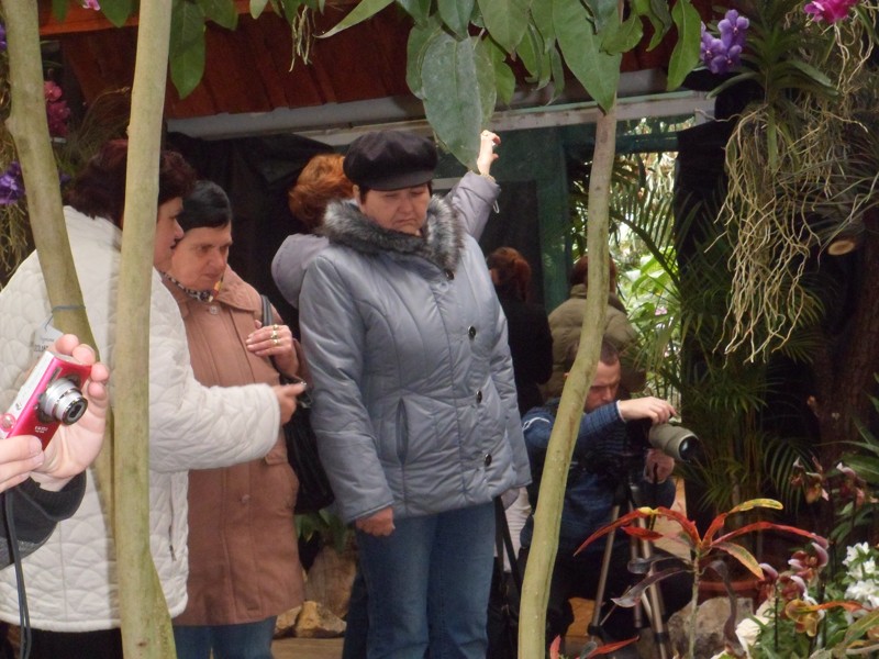 Botanicka zahrada 2013 30.JPG