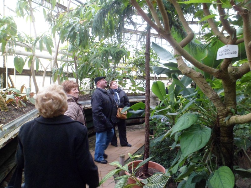 Botanicka zahrada 2013 35.JPG