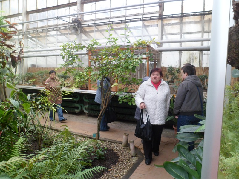 Botanicka zahrada 2013 6.JPG