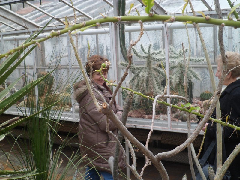 Botanicka zahrada 2013 8.JPG