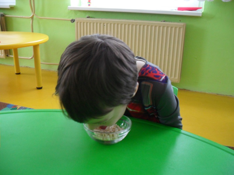 Karneval 2013 23.JPG