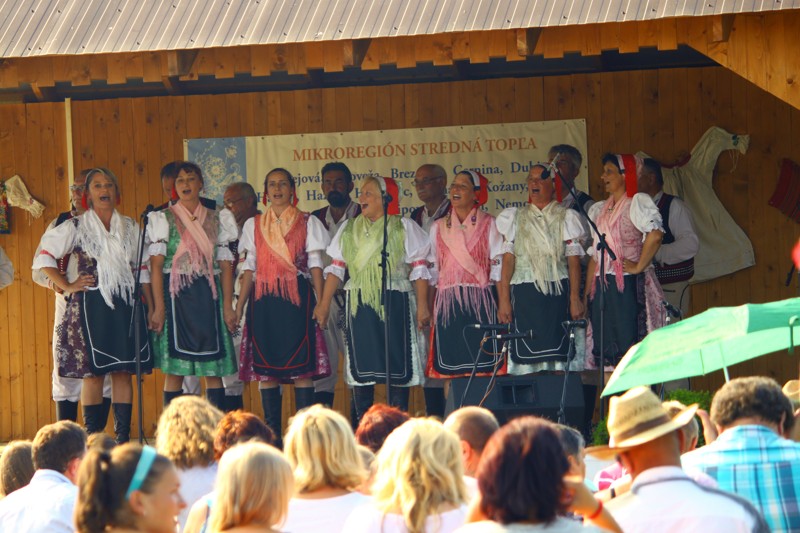 Mikroregion 2013 (71).JPG