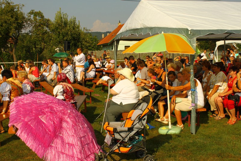 Mikroregion 2013 (78).JPG