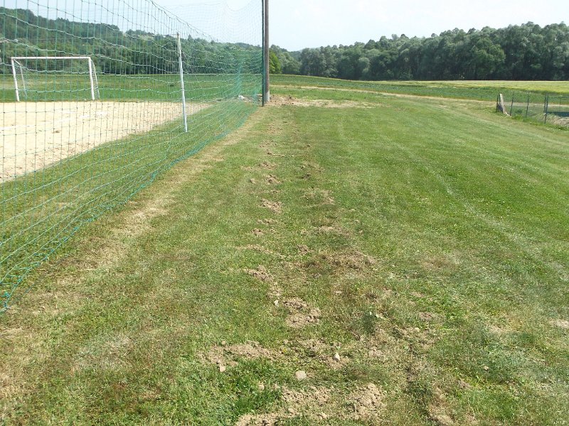DSCF1252.JPG