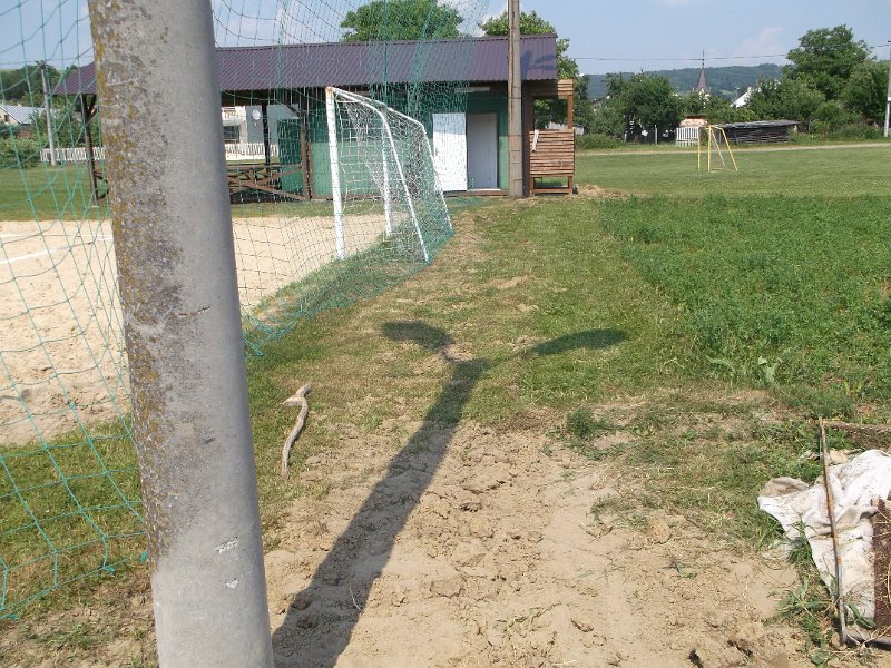 DSCF1254.JPG