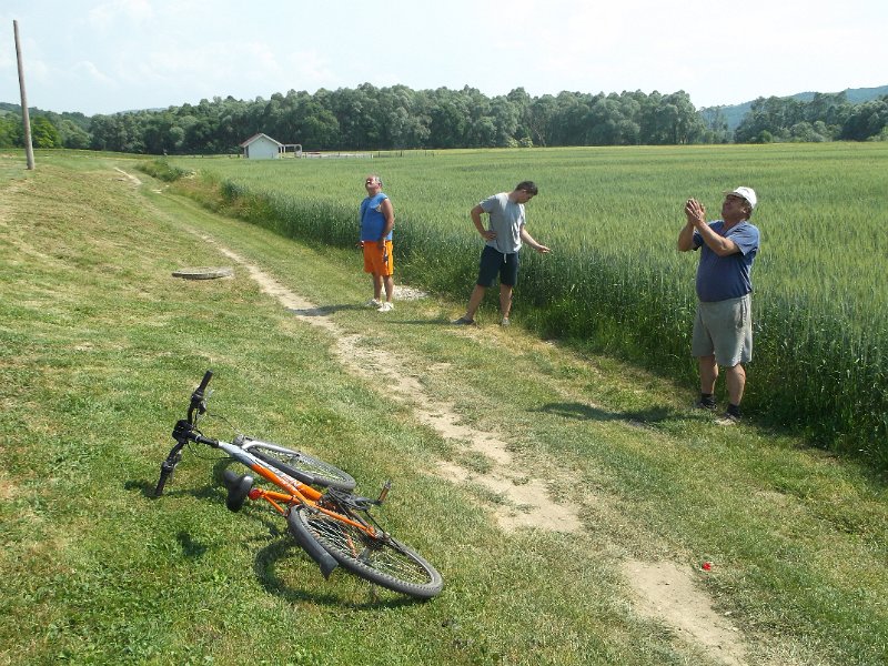 DSCF1270.JPG