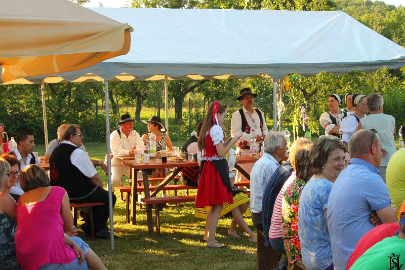 Folklorne slavnosti   61.JPG