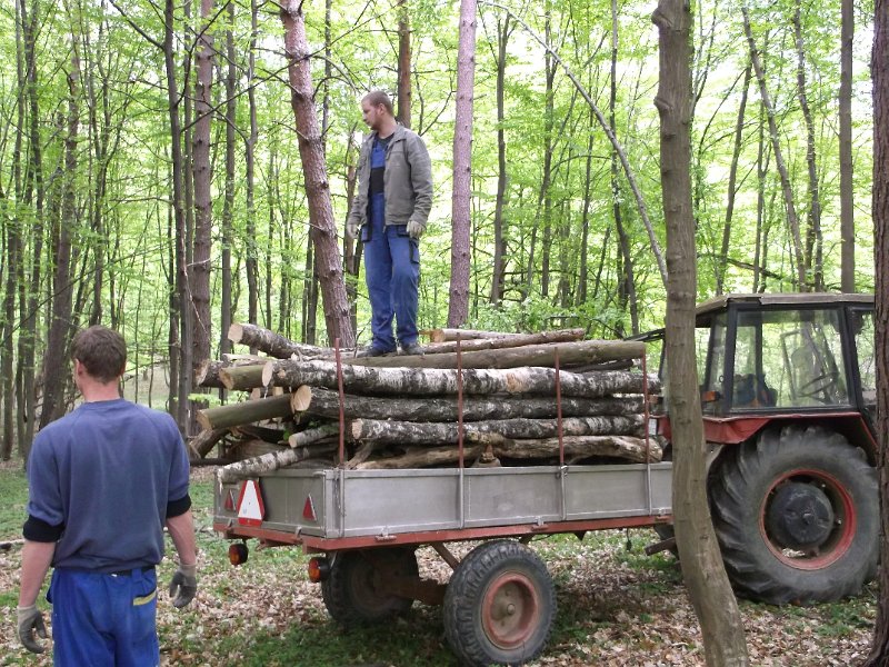 Priprava na Vatru 2015     11.JPG