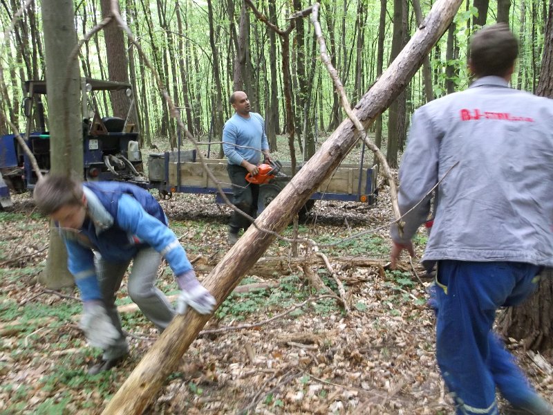 Priprava na Vatru 2015     8.JPG