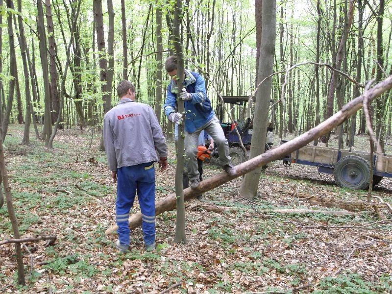 Priprava na Vatru 2015     9.JPG