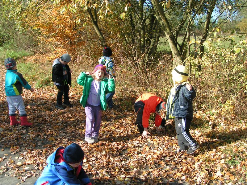 PICT0295.JPG