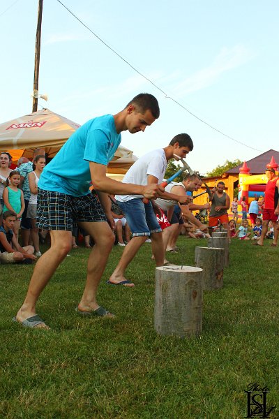 Sportovy den 2015     270.JPG