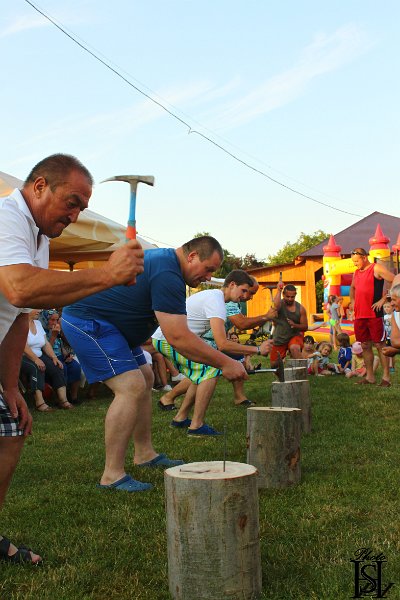 Sportovy den 2015     273.JPG