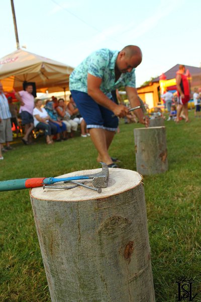 Sportovy den 2015     277.JPG