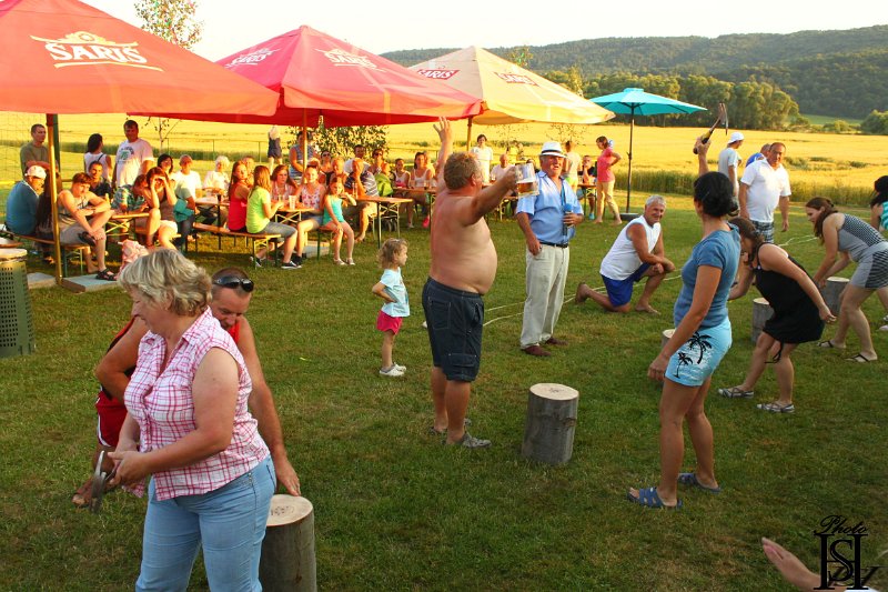 Sportovy den 2015     290.JPG