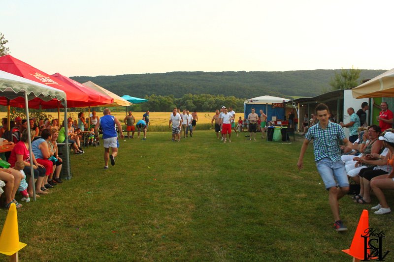 Sportovy den 2015     336.JPG