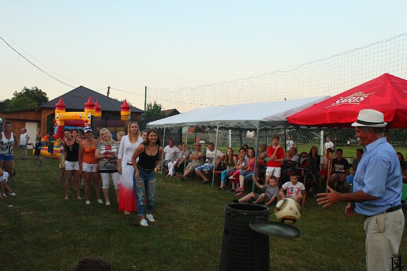 Sportovy den 2015     366.JPG