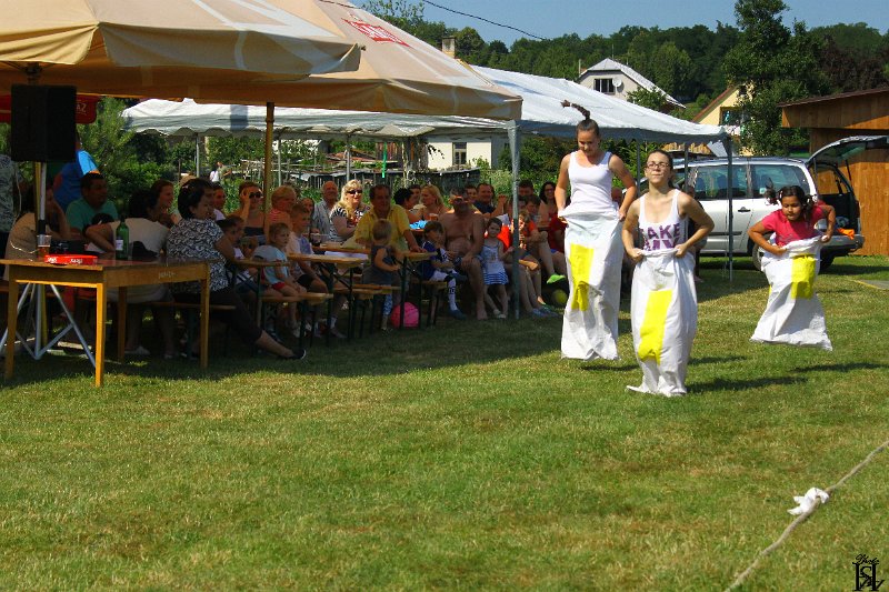 Sportovy den 2015     58.JPG