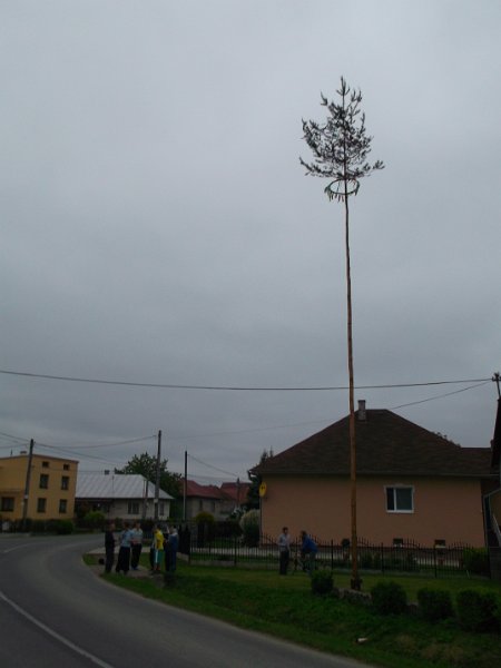 Stavanie maja 2015 (59).JPG