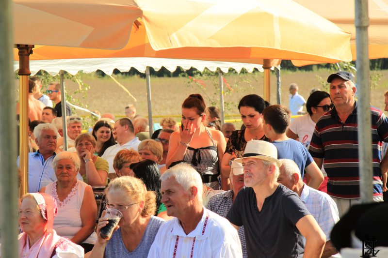 Festival 2016   136.JPG