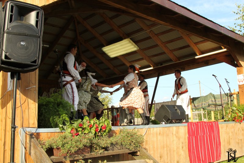 Festival 2016   237.JPG