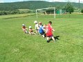 Den deti 43
