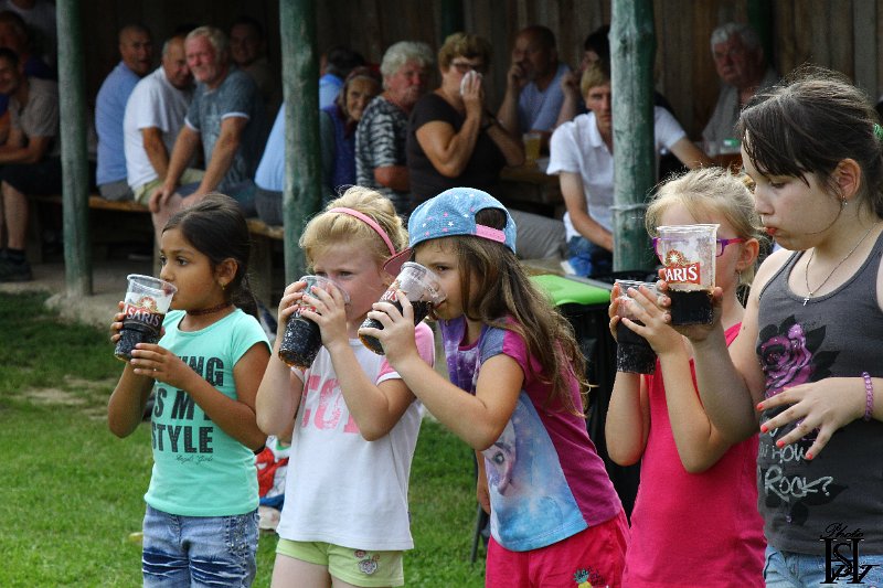 Sportovy den 2017    209.JPG