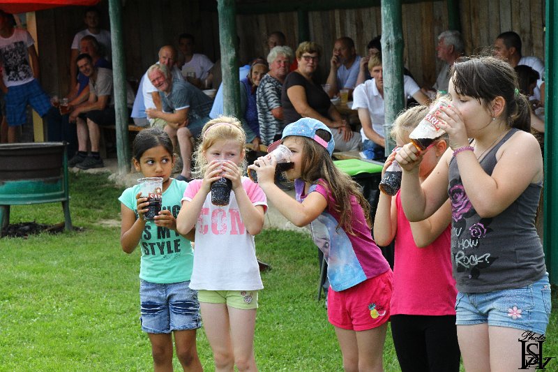 Sportovy den 2017    210.JPG