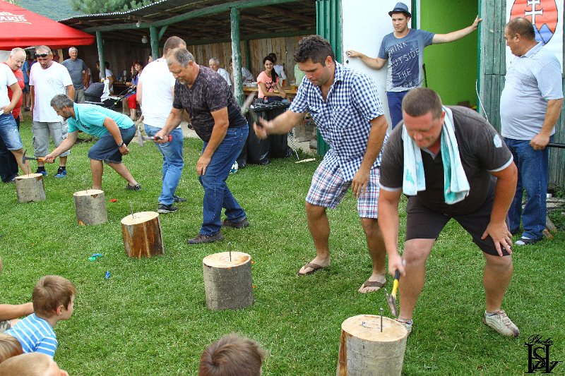 Sportovy den 2017    362.JPG