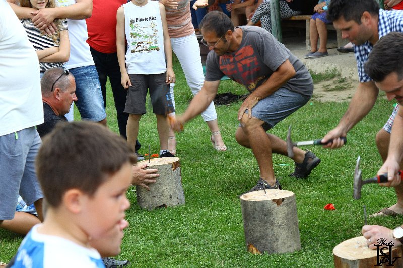 Sportovy den 2017    365.JPG