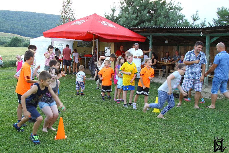 Sportovy den 2017    376.JPG