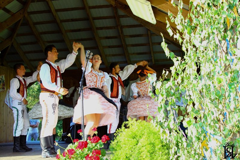 Dubinne 2017   11.JPG