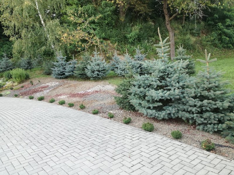 Brigada dom Nadeje 32.jpg