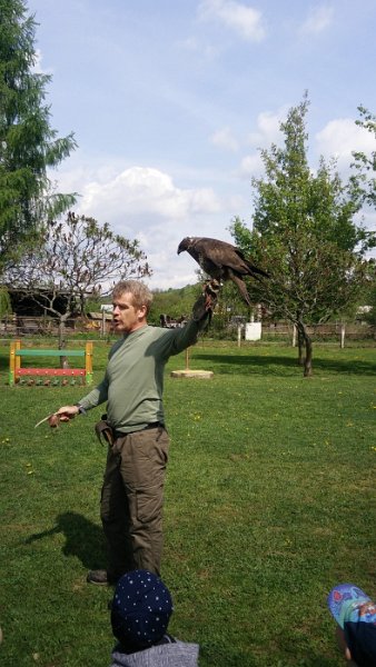 Sokoliari Kurima 11.jpg